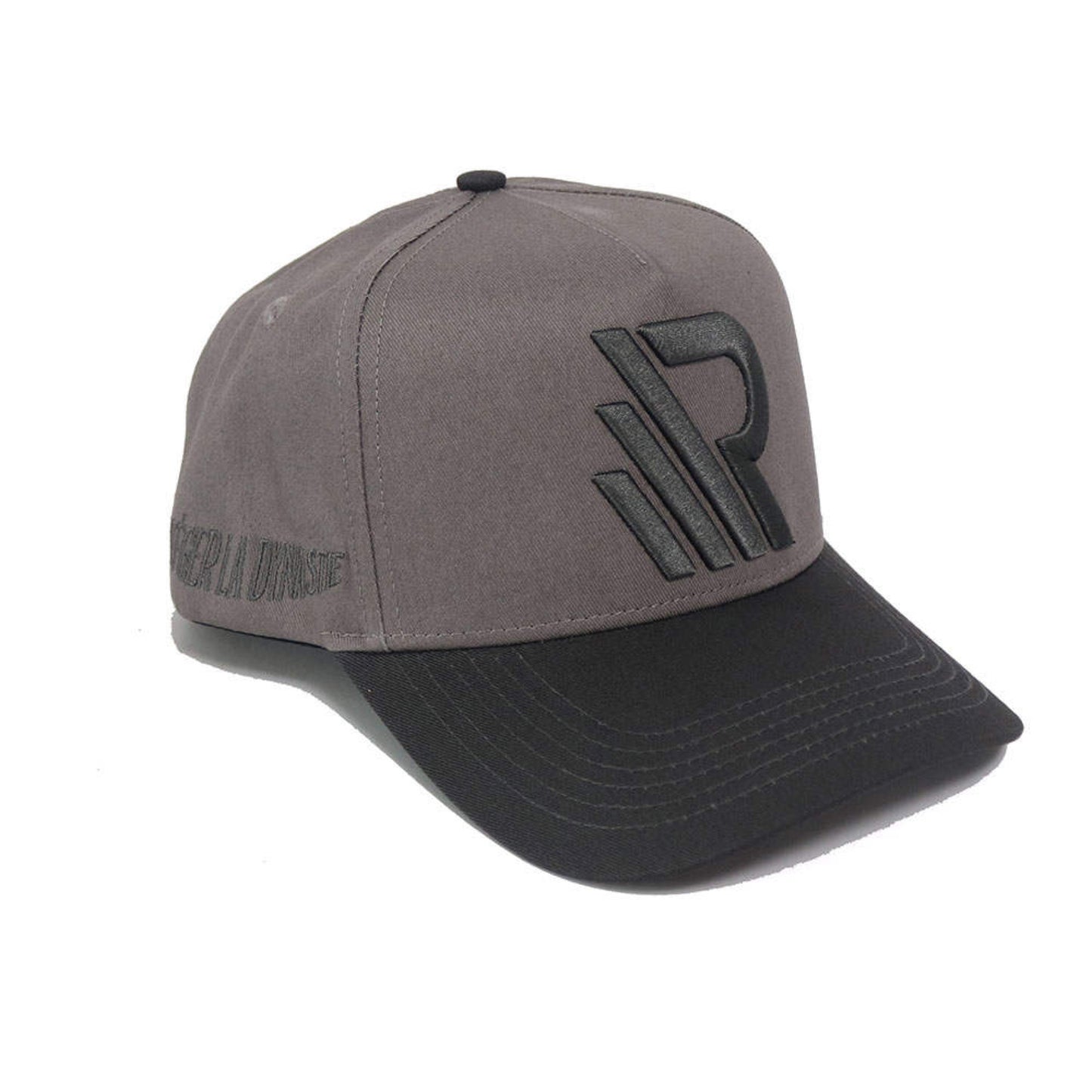 R-Logo Wolf grey Snapback