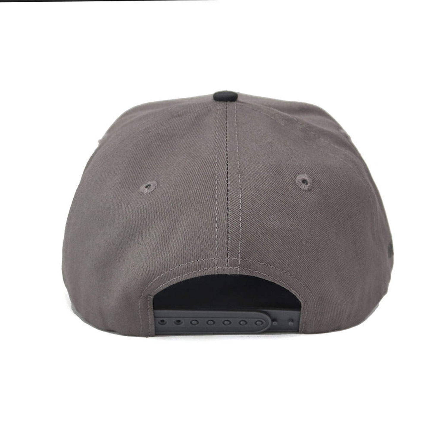 R-Logo Wolf grey Snapback