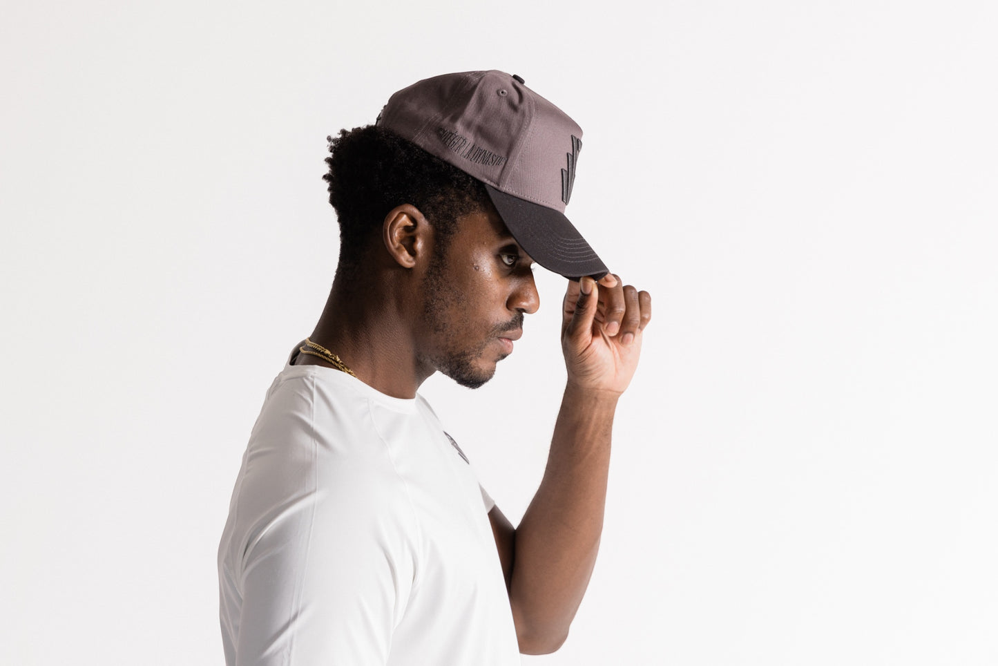 R-Logo Wolf grey Snapback