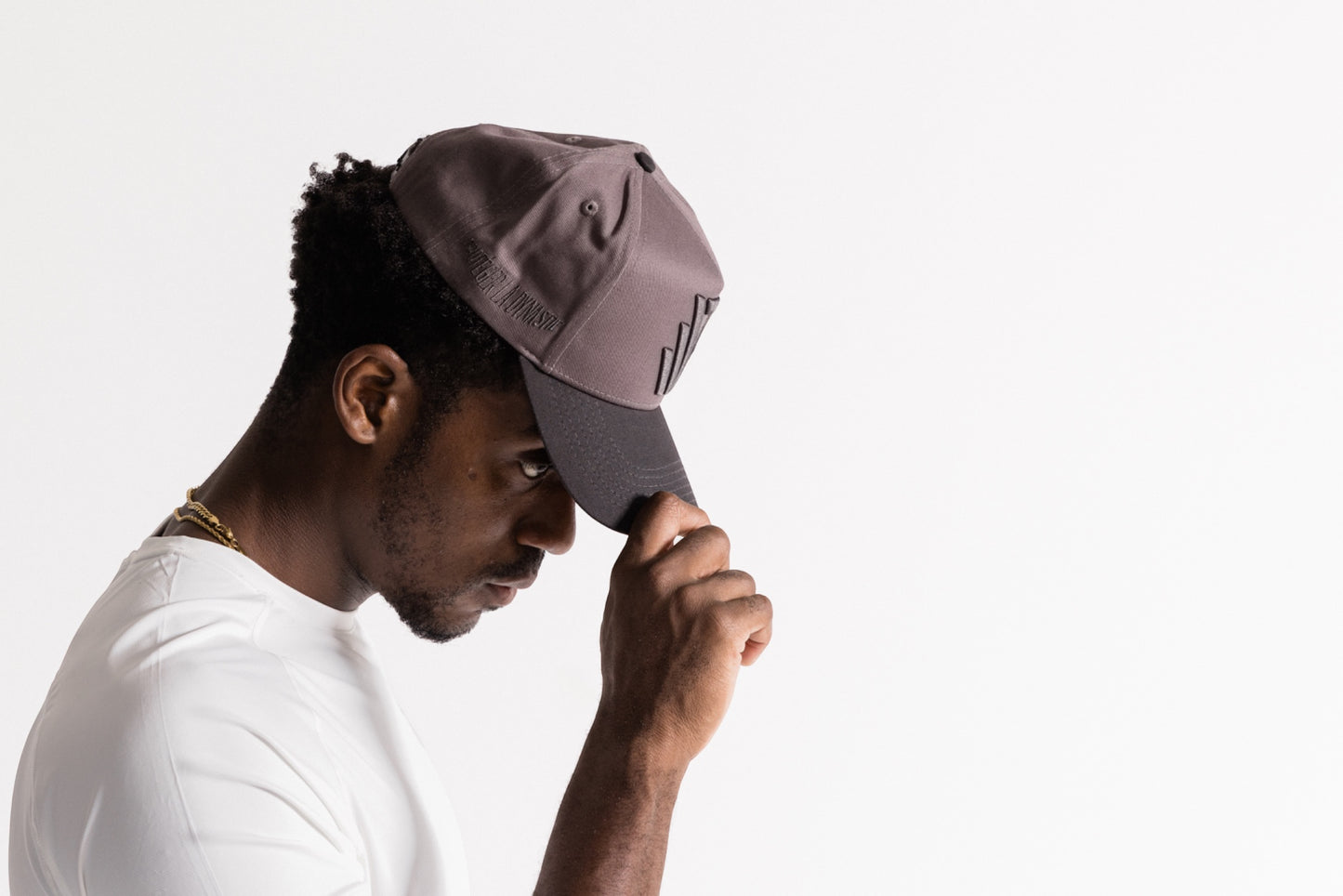 R-Logo Wolf grey Snapback