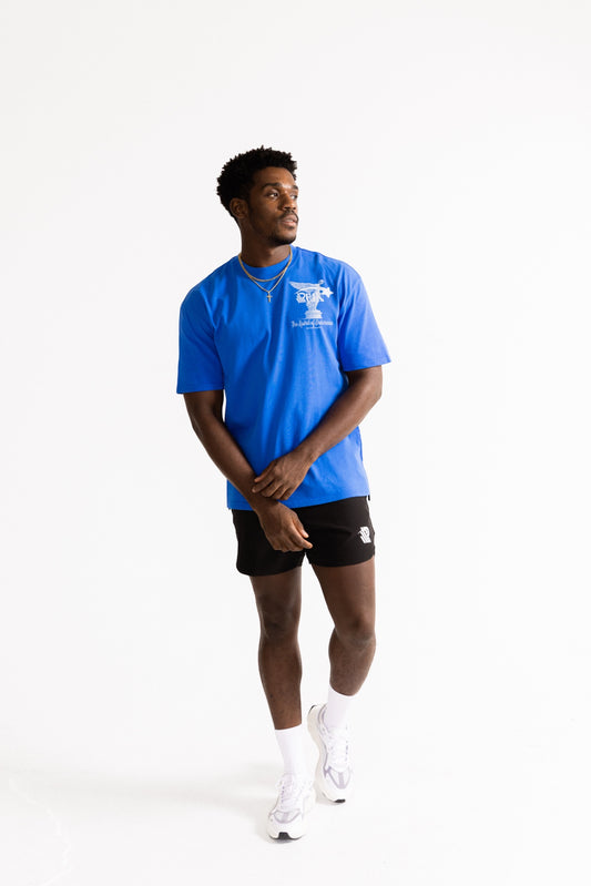 Spirit of Endurance Oversized tee
